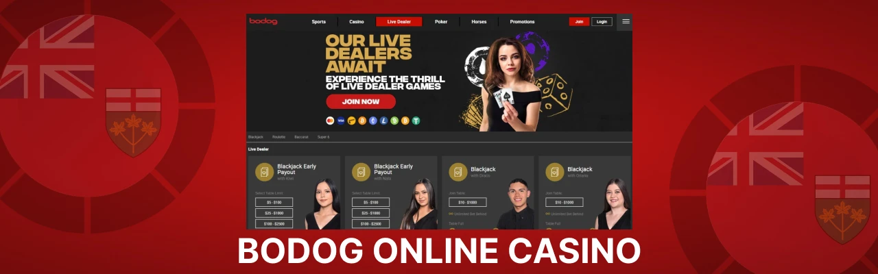 Bodog online casino