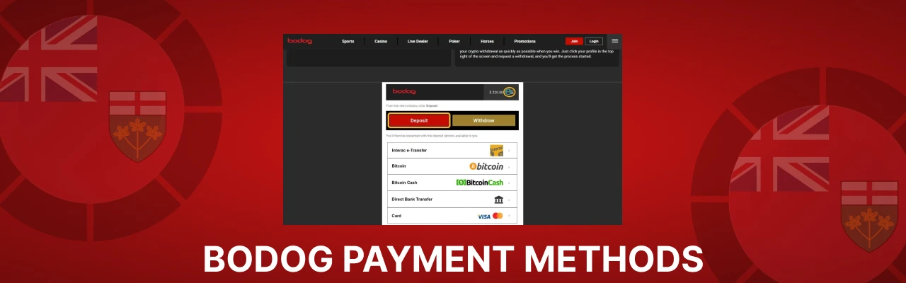Bodog payment methods