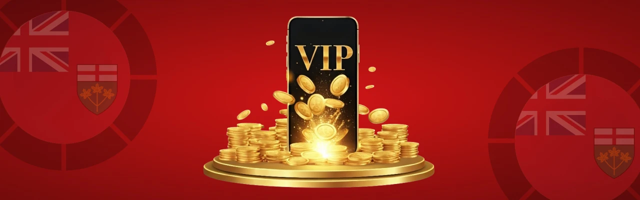 Vip programs for high rollers